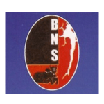 BNS BNS